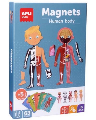 Joc magnetic pentru copii Apli - Corpul uman - 1