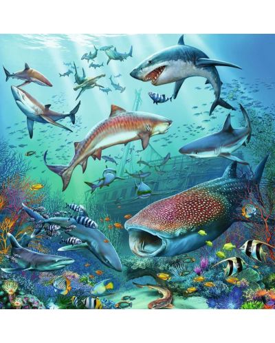 Puzzle pentru copii  Ravensburger 3 x 49 piese - Viața în ocean - 3