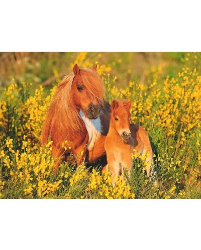 Puzzle pentru copii Ravensburger din 100 XXL piese -Ponei Shetland - 2