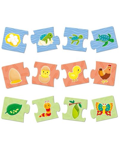 Puzzle pentru copii Galt - Evolutia organismelor vii, 6x4 piese - 2