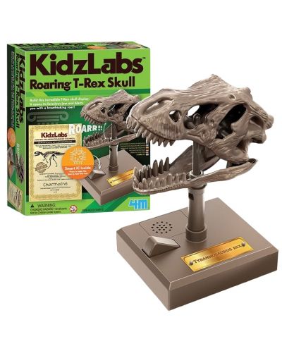 Set joc  4M Kidz Labs -Craniu de dinozaur care răcnește - 5