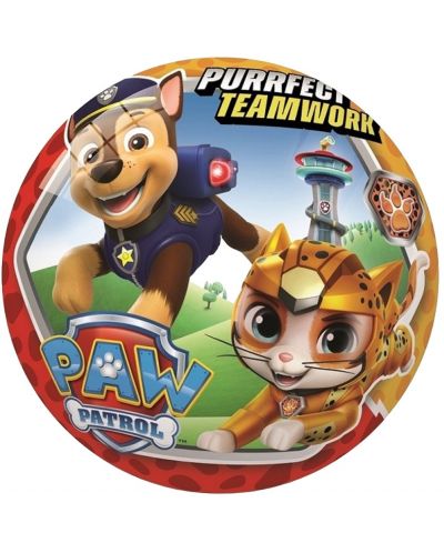 Minge pentru copii  Star - Paw Patrol, 14 cm - 1