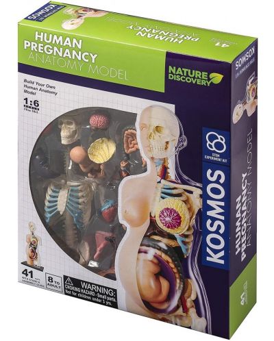 Set de asamblat pentru copii Thames & Kosmos - Anatomia sarcinii umane - 1