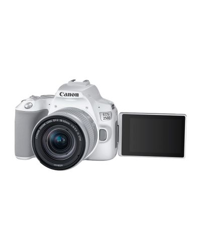 Aparat foto DSLR Canon - EOS 250D, EF-S 18-55mm ST, alb - 2