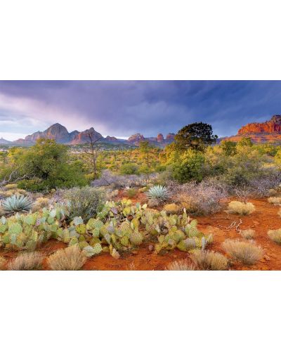 Puzzle Educa de 4000 piese - Parcul national Rand Rock, Arizona - 2