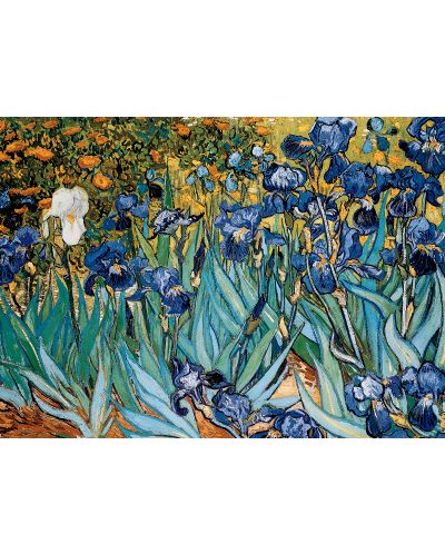 Puzzle Eurographics de 1000 piese – Irisi, Vincent van Gogh - 2
