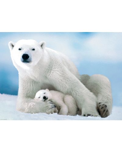 Puzzle Eurographics de 1000 piese – Ursi polari mamam si puii ei - 2