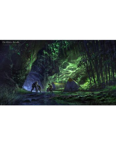 The Elder Scrolls Online Summerset (PS4) - 10
