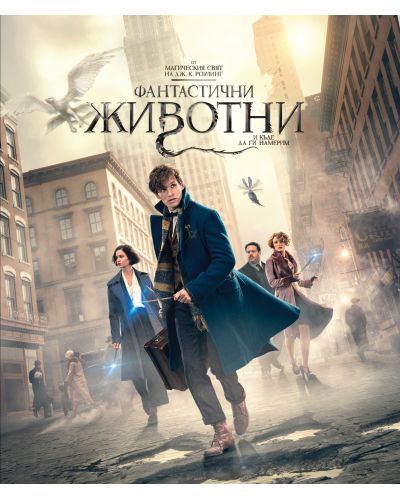 Fantastic Beasts and Where to Find Them (Blu-ray) - 1