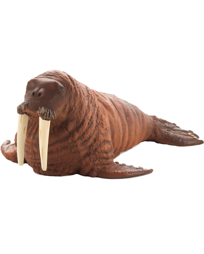 Figurină Mojo Sealife - Morsă - 1