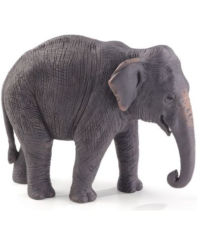 Figurina Mojo Wildlife - Elefantul asiatic - 1