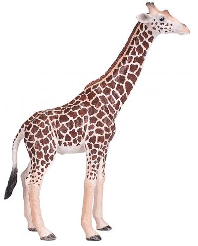 Figurina Mojo Wildlife - Girafa masculina - 1