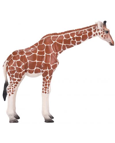 Figura Mojo Wildlife - Girafă, femelă  - 2