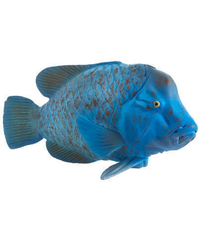 Figurină Mojo Sealife - mreană albastră - 2