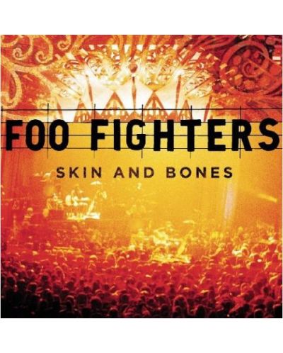 Foo Fighters - Skin and Bones (Vinyl) - 1