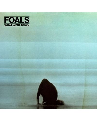 Foals - What Went Down (CD)	 - 1