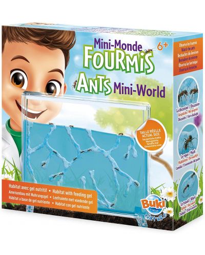 Set de cercetare Buki Nature - Lumea mini a furnicilor - 2