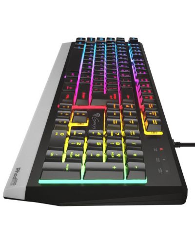 Tastatura gaming Genesis - Rhod 300, RGB, neagra - 4