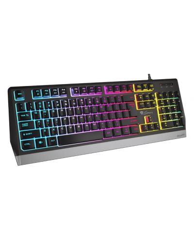 Tastatura gaming Genesis - Rhod 300, RGB, neagra - 2