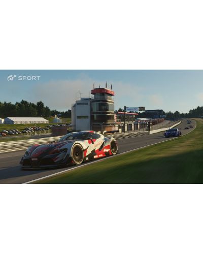 Gran Turismo Sport (PS4) - 10