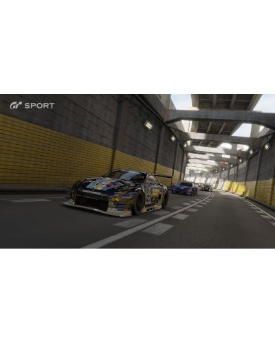 Gran Turismo Sport (PS4) - 9