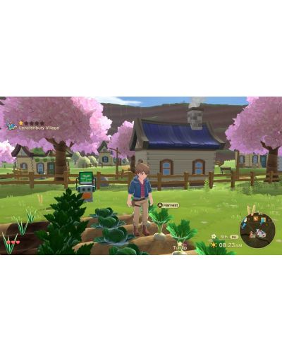 Harvest Moon: The Winds of Anthos (PS4) - 5