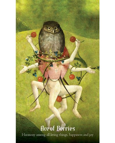 Hieronymus Bosch Tarot (78 Cards and Guidebook) - 4