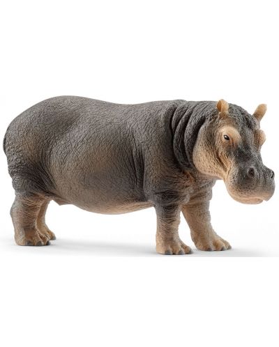Figurina Schleich Wild Life - Hipopotam, in picioare - 1