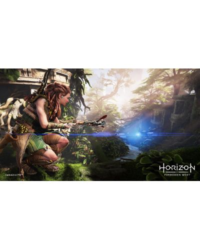 Horizon Forbidden West - Collector's Edition (PS4/PS5) - 11