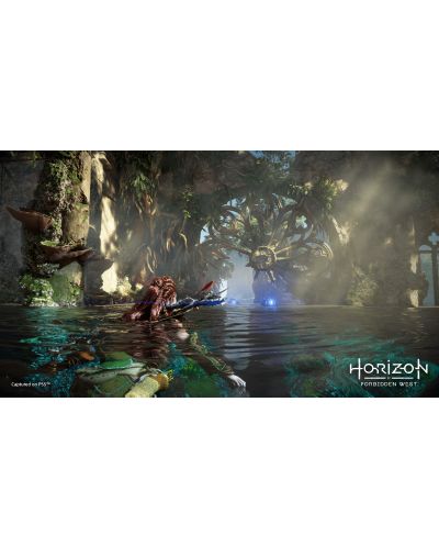 Horizon Forbidden West (PS4) - 4