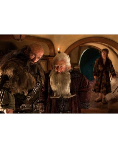 The Hobbit: An Unexpected Journey (DVD) - 10