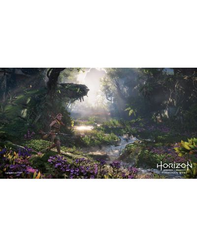 Horizon Forbidden West - Collector's Edition (PS4/PS5) - 7