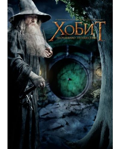 The Hobbit: An Unexpected Journey (DVD) - 1