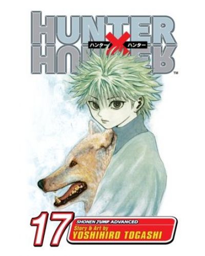 Hunter x Hunter, Vol. 17	 - 1