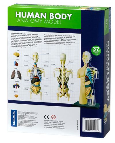Set pentru copii Kosmos - Anatomia corpului uman - 6
