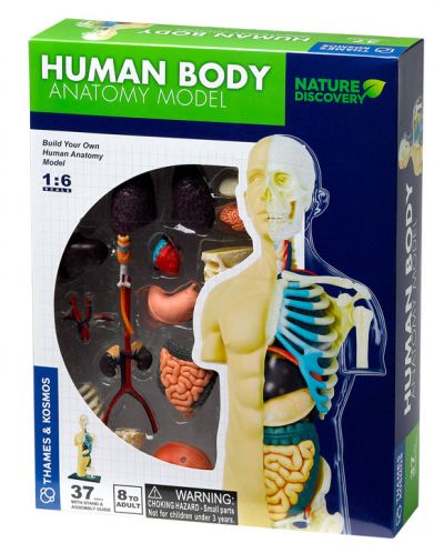 Set pentru copii Kosmos - Anatomia corpului uman - 1