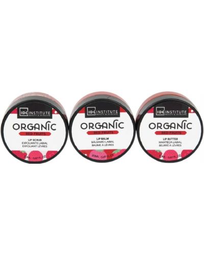 IDC Institute Set de cadou pentru buze Organic, 3 piese - 2