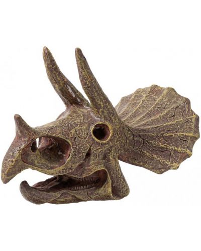 Trusa de cercetare Buki Museum - Skull, Triceratops - 3