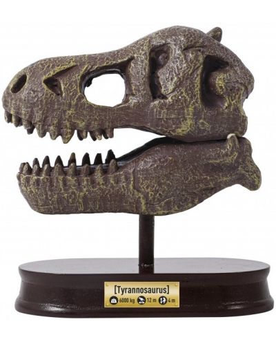 Trusa de cercetare Muzeul Buki - Craniu, T-Rex - 4