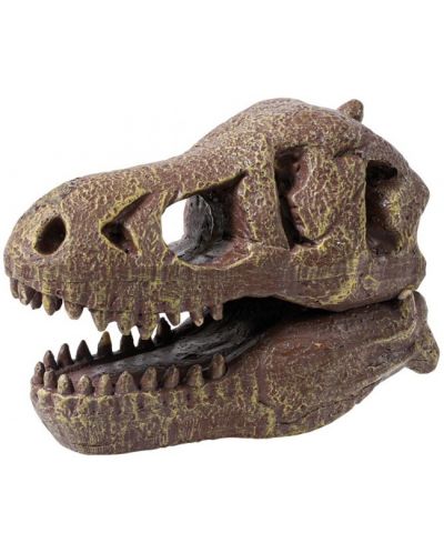 Trusa de cercetare Muzeul Buki - Craniu, T-Rex - 3