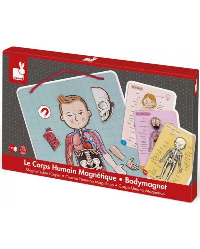 Jucarie magnetica pentru copii - Anatomia corpului uman - 1