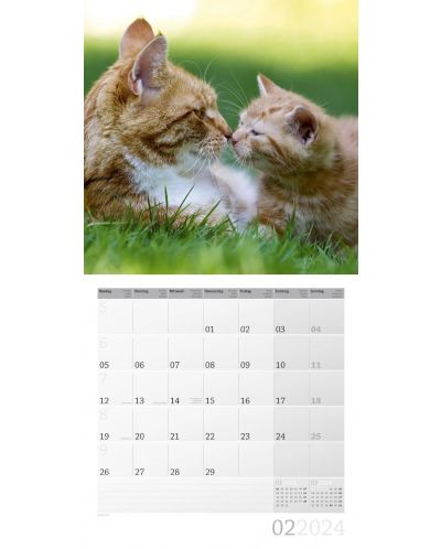 Calendar Ackermann - Pisici, 2024 - 3