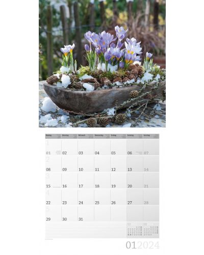 Calendar Ackermann - Buchete, 2024 - 2