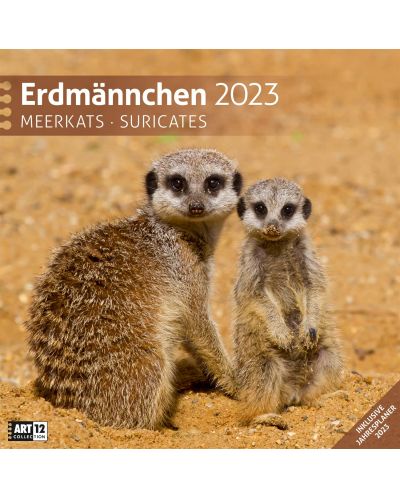 Calendar  Ackermann - Meerkats, 2023 - 1