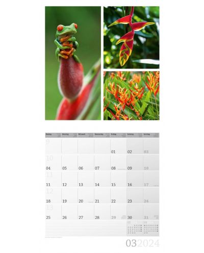 Calendar Ackermann - Culorile naturii, 2024 - 4