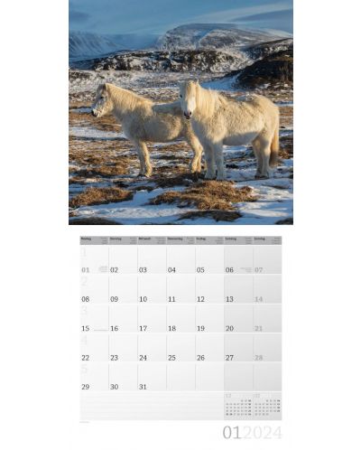 Calendar Ackermann - Cai, 2024 - 2