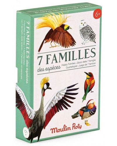Cărți de joc Moulin Roty - Familii - 5