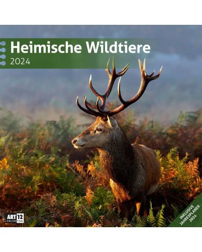 Calendar Ackermann - Animale sălbatice din Germania, 2024 - 1