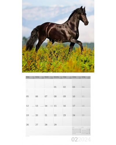 Calendar Ackermann - Cai, 2024 - 3
