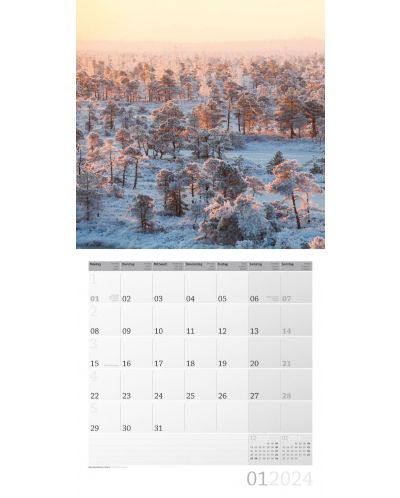Calendar Ackermann - Mystic Forest, 2024 - 2